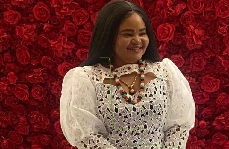 NDC USA Chapter Chairperson Appeals to President Mahama to Include Diaspora in Government