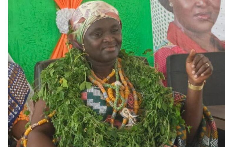 EPA Boss Professor Ama Browne Klutse Enstooled as Development Queen of Ketu North